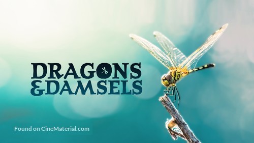 Dragons &amp; Damsels - Movie Poster