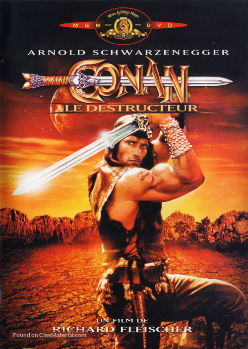 Conan The Destroyer - French DVD movie cover