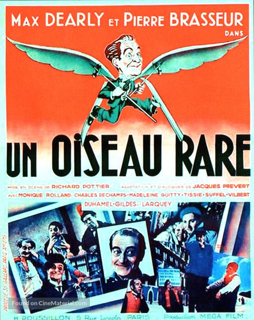 Un oiseau rare - French Movie Poster