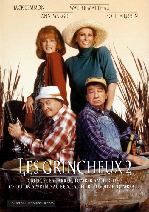 Grumpier Old Men - French DVD movie cover