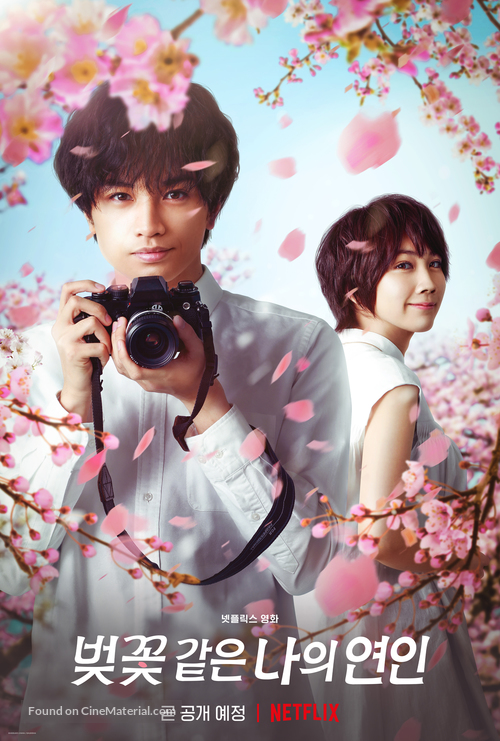 My Dearest, Like a Cherry Blossom - South Korean Movie Poster