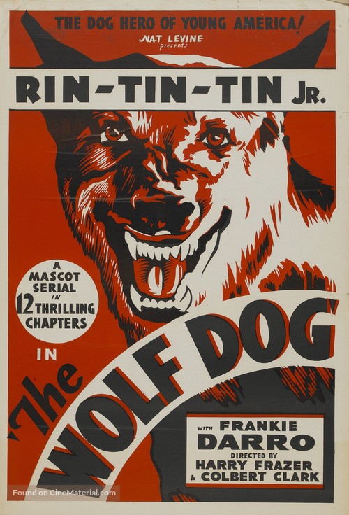 The Wolf Dog - Movie Poster