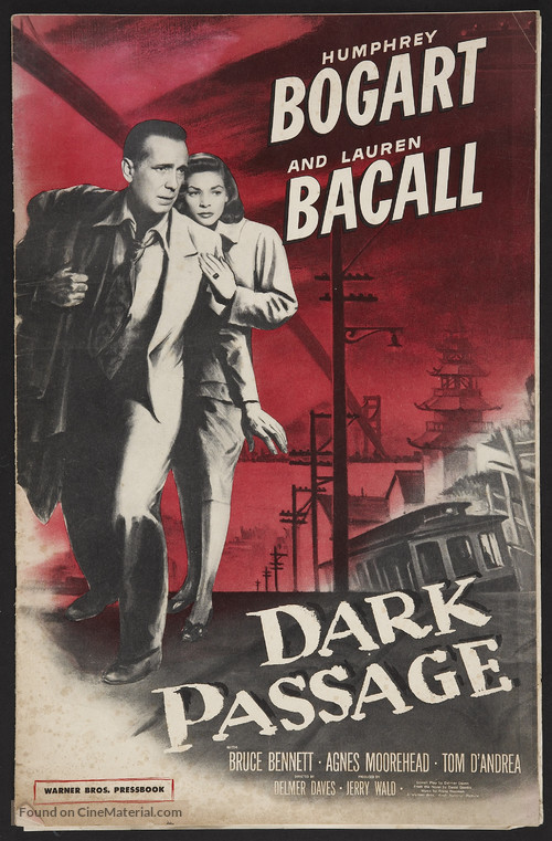 Dark Passage - poster