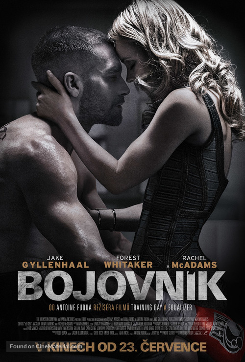 Southpaw - Czech Movie Poster