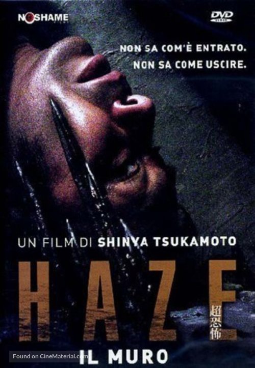 Haze - Italian DVD movie cover