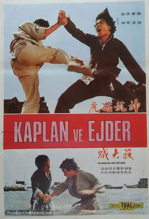 Shen long meng hu sha da zei - Turkish Movie Poster