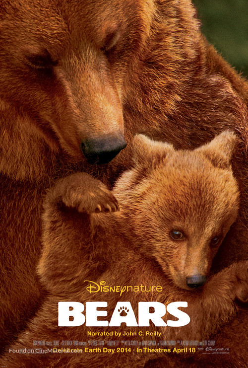 Bears - Movie Poster