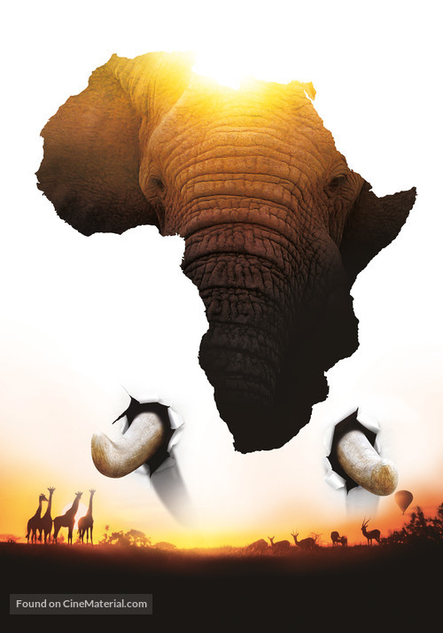 African Safari - Belgian Key art