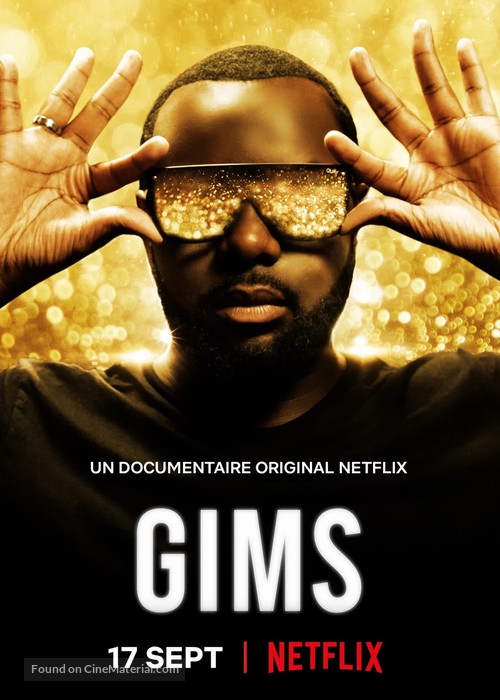 GIMS: On the Record - French Movie Poster