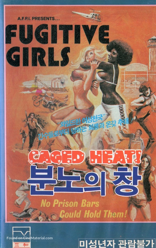 Five Loose Women - South Korean VHS movie cover