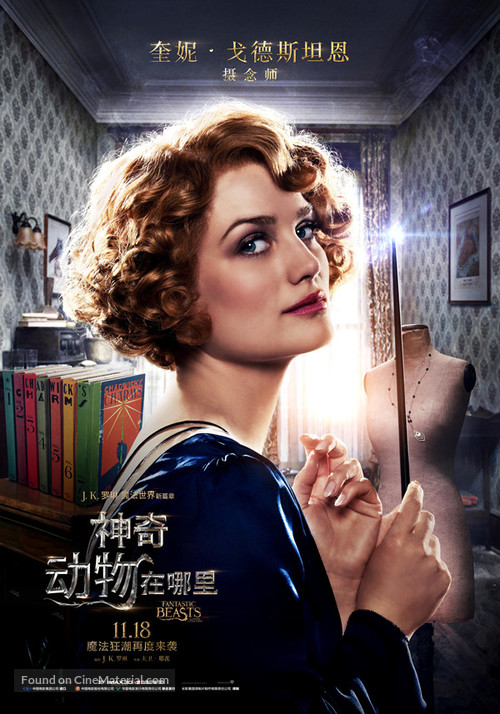 Fantastic Beasts and Where to Find Them - Chinese Movie Poster