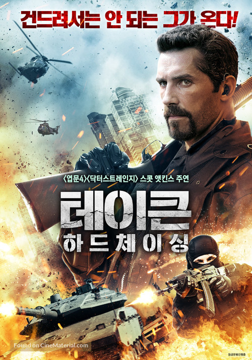 Seized - South Korean Movie Poster