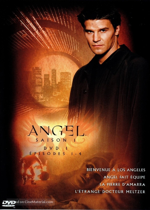 &quot;Angel&quot; - French DVD movie cover