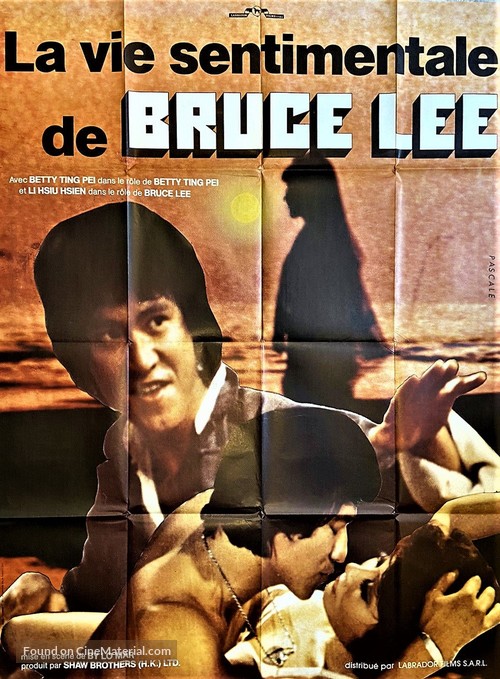 Lei Siu Lung yi ngo - French Movie Poster