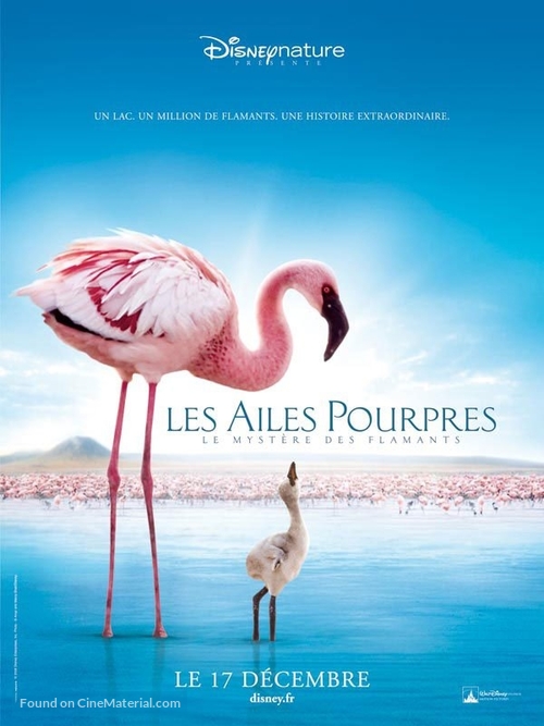 The Crimson Wing: Mystery of the Flamingos - French Movie Poster