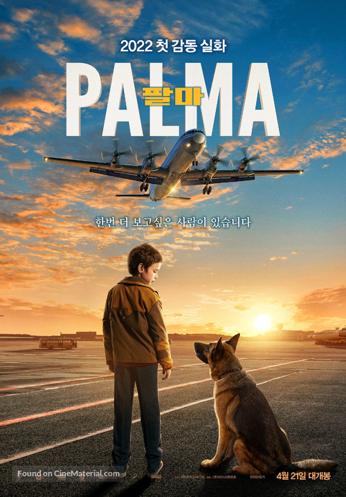 Palma - South Korean Movie Poster