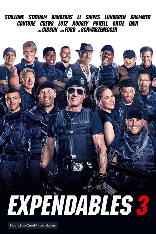 The Expendables 3 - French Movie Cover