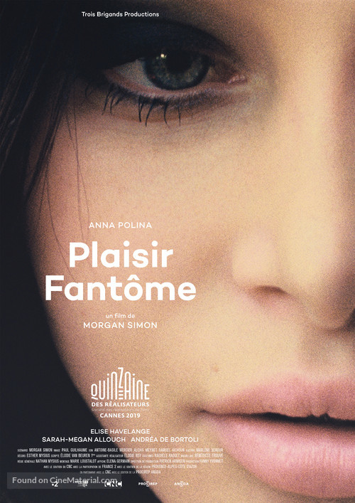 Plaisir fant&ocirc;me - French Movie Poster