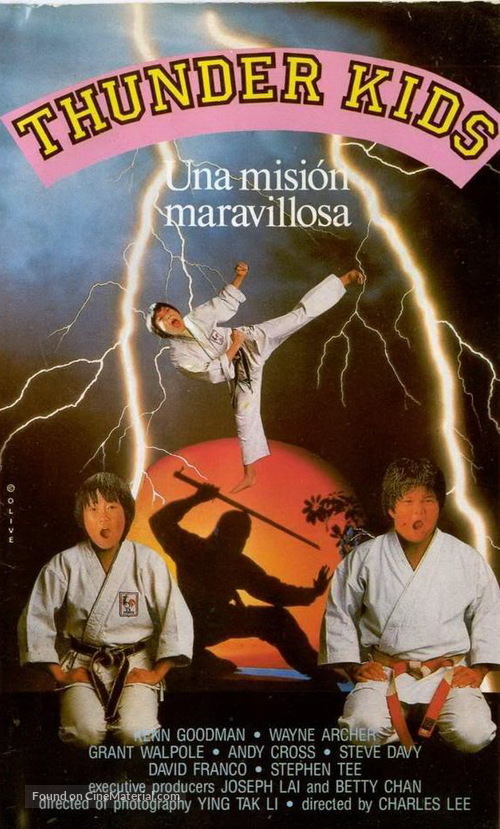 Thunder Ninja Kids: Wonderful Mission - Spanish Movie Cover