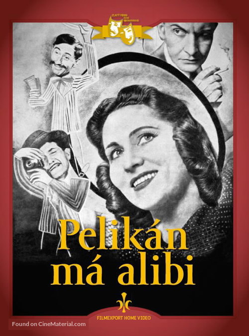 Pelik&aacute;n m&aacute; alibi - Czech DVD movie cover