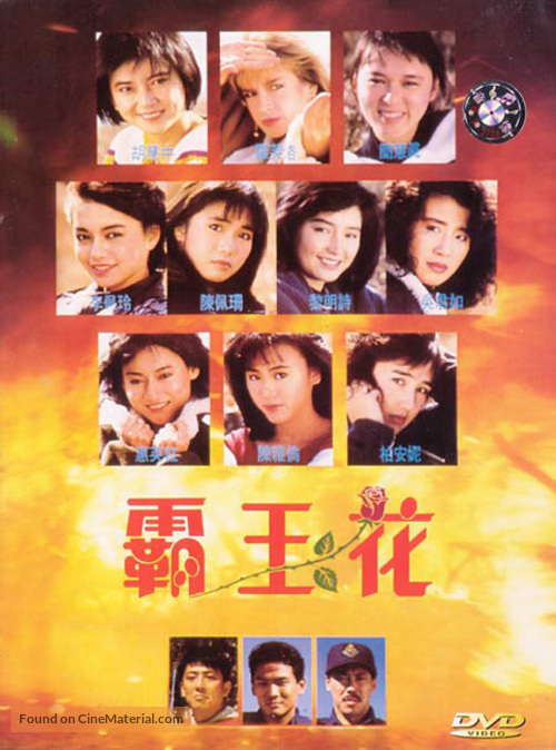 Ba wong fa - Chinese DVD movie cover