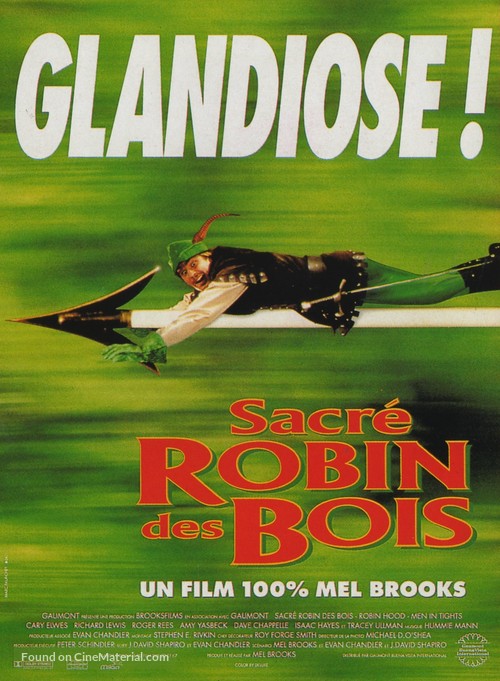 Robin Hood: Men in Tights - French Movie Poster