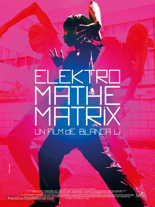 Elektro Mathematrix - French Movie Poster