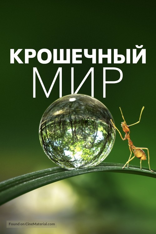 &quot;Tiny World&quot; - Russian Movie Cover