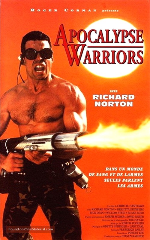 Raiders of the Sun - French VHS movie cover