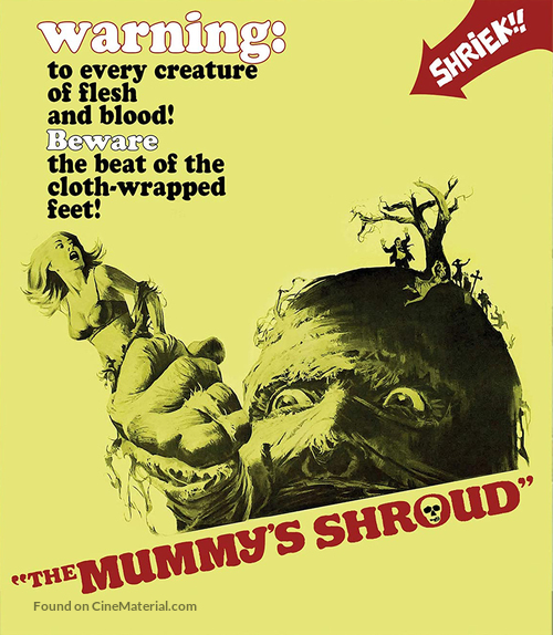 The Mummy&#039;s Shroud - Movie Cover