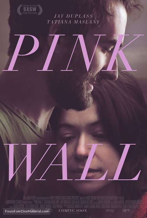 Pink Wall - Movie Poster