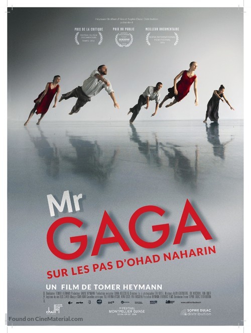 Mr. Gaga - French Movie Poster
