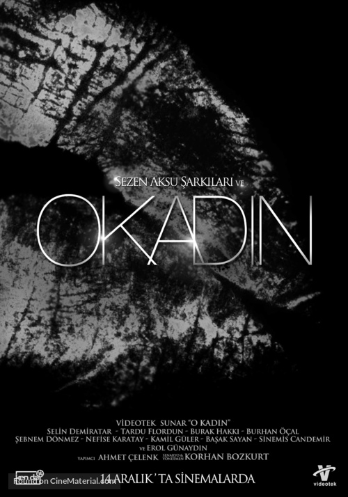 O kadin - Turkish Movie Poster