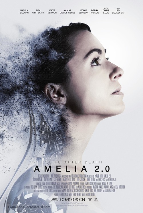 Amelia 2.0 - Movie Poster