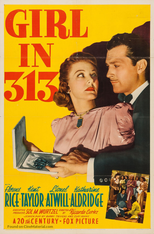 Girl in 313 - Movie Poster