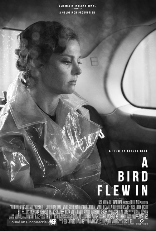 A Bird Flew In - British Movie Poster