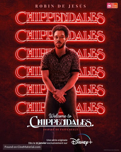 Welcome to Chippendales - French Movie Poster