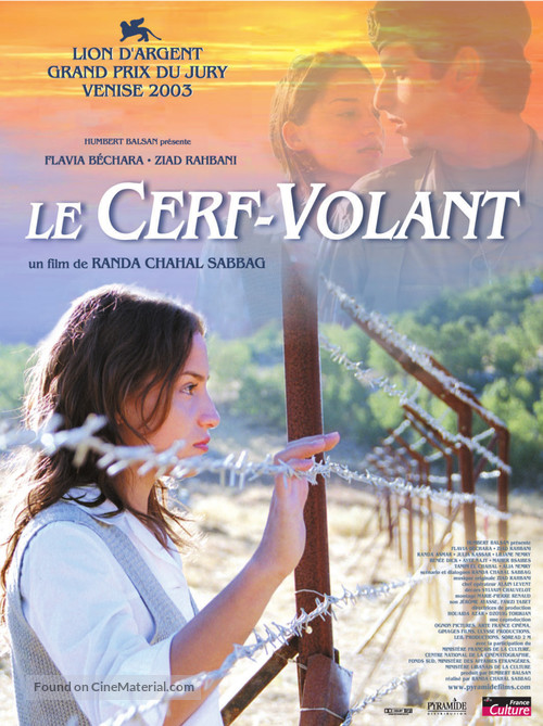 Le cerf-volant - French Movie Poster