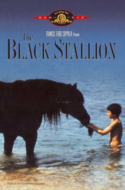 The Black Stallion - DVD movie cover