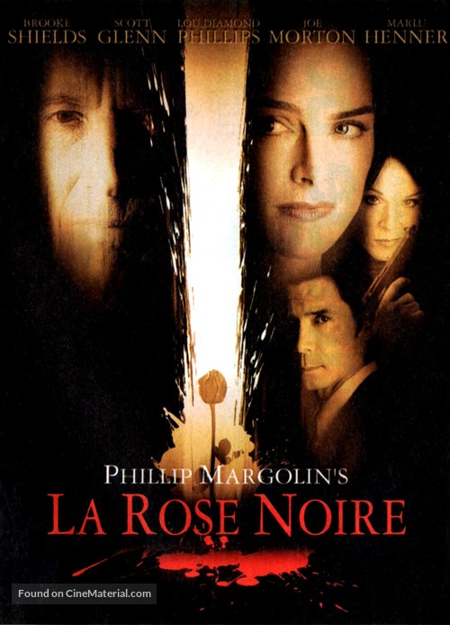 Gone But Not Forgotten - French Video on demand movie cover