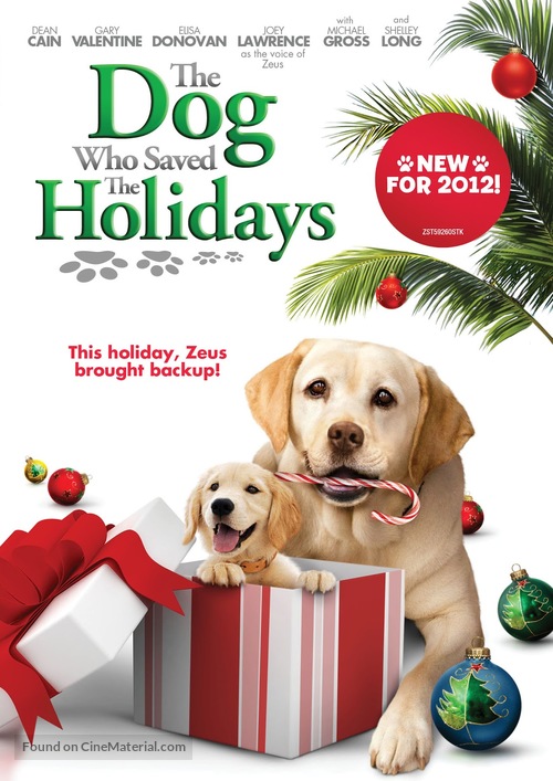 The Dog Who Saved the Holidays - DVD movie cover