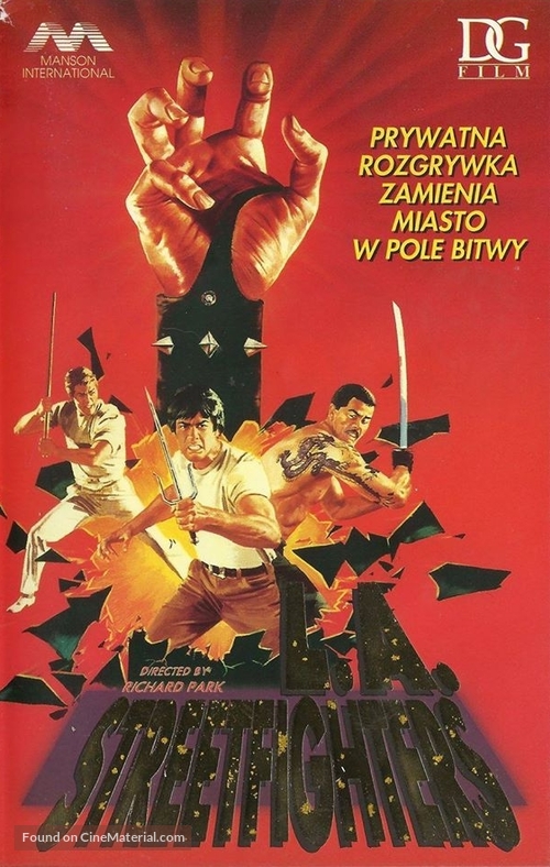 Los Angeles Streetfighter - Polish Movie Cover