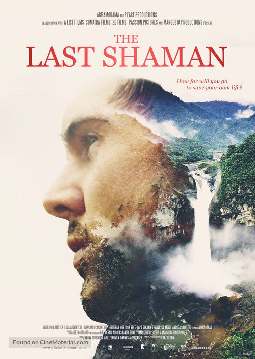 The Last Shaman - Movie Poster