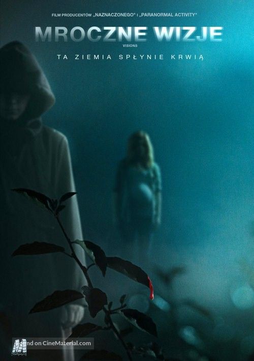Visions - Polish Movie Cover