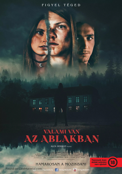 Dark Windows - Hungarian Movie Poster