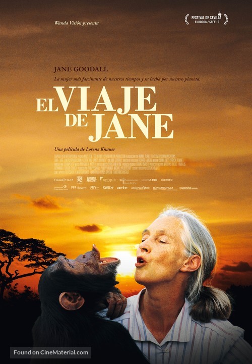 Jane&#039;s Journey - Spanish Movie Poster