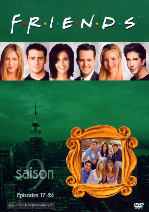 &quot;Friends&quot; - French DVD movie cover