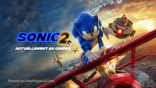 Sonic the Hedgehog 2 - French poster