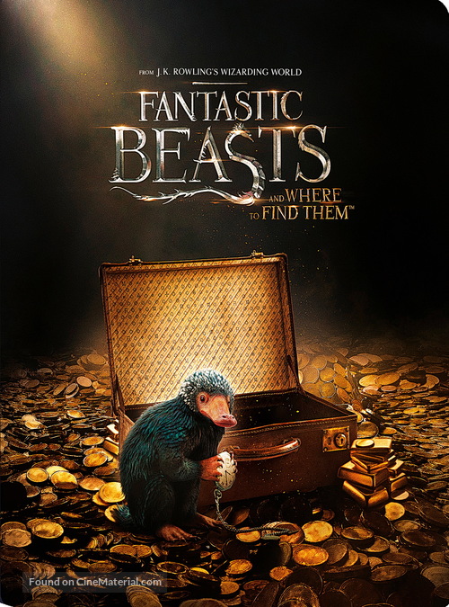 Fantastic Beasts and Where to Find Them - Movie Cover