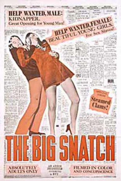 The Big Snatch - Movie Poster